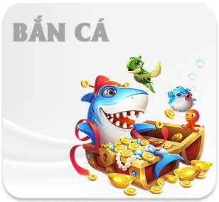 banner-ban-ca-dr88