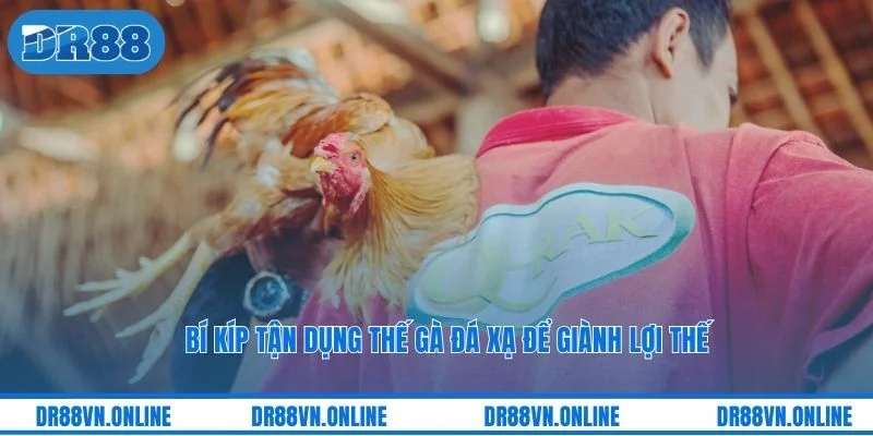Bí kíp tận dụng thế gà đá xạ để giành lợi thế