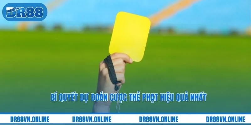 Bí quyết dự đoán cược thẻ phạt hiệu quả nhất