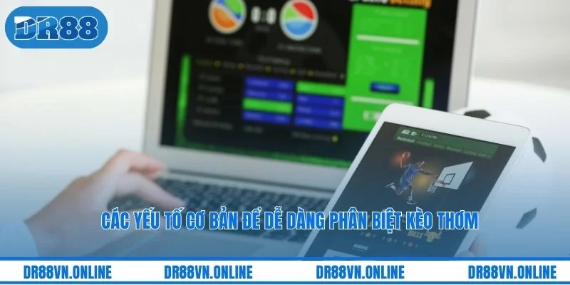 Các yếu tố cơ bản để dễ dàng phân biệt kèo thơm