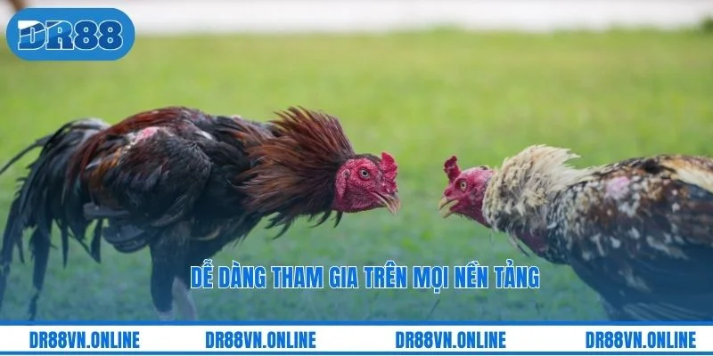 Dễ dàng tham gia trên mọi nền tảng