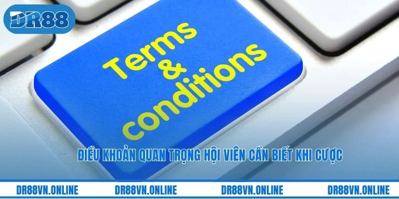 Điều khoản quan trọng hội viên cần biết khi cược