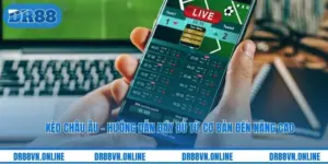 Kèo Châu Âu - Hướng Dẫn Đầy Đủ Từ Cơ Bản Đến Nâng Cao