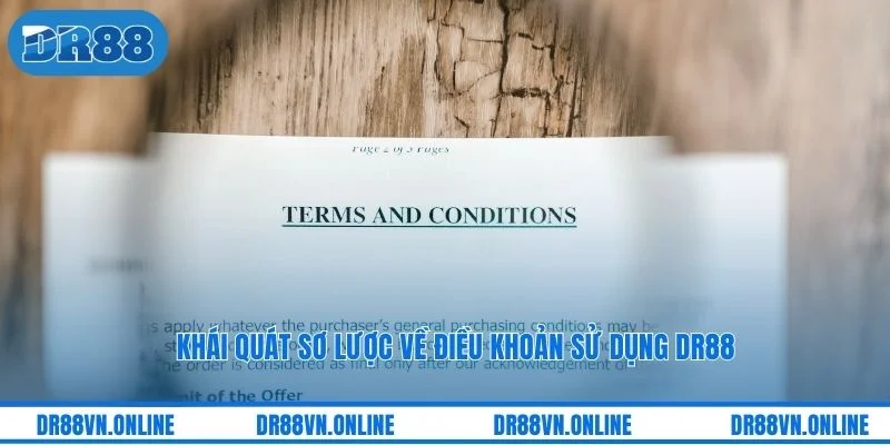 Khái quát sơ lược về điều khoản sử dụng DR88