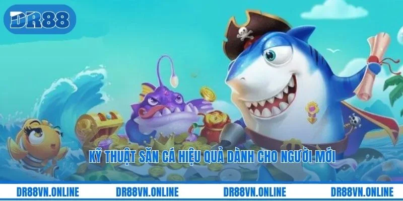 Kỹ thuật săn cá hiệu quả dành cho người mới