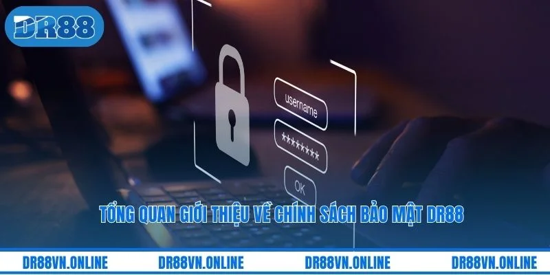 Tổng quan giới thiệu về chính sách bảo mật DR88