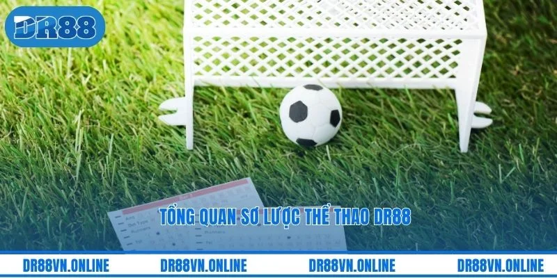 Tổng quan sơ lược thể thao DR88